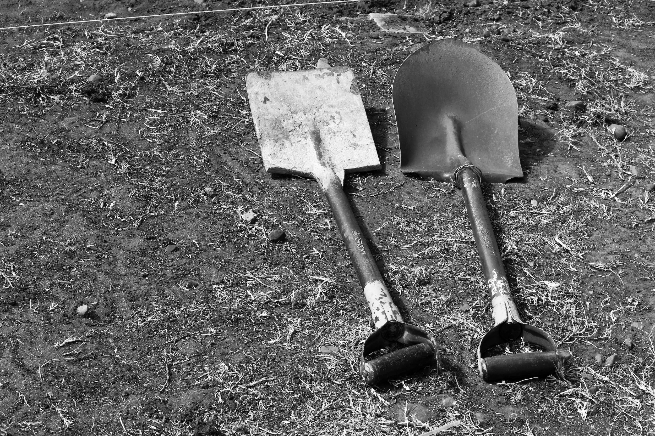 Shovel and spade sale